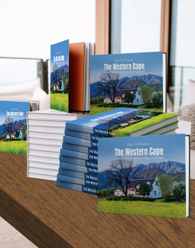 The book in hand
