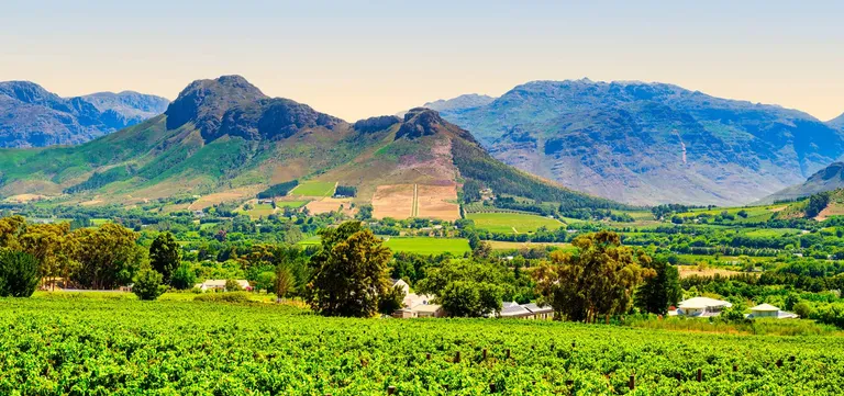 Vineyards of the Franschhoek Valley beneath the surrounding mountains, Cape Winelands