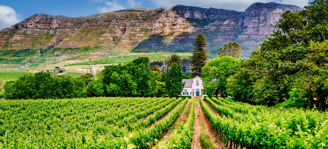 Cape Dutch manor house among vineyards beneath a mountain ridge — Western Cape, South Africa