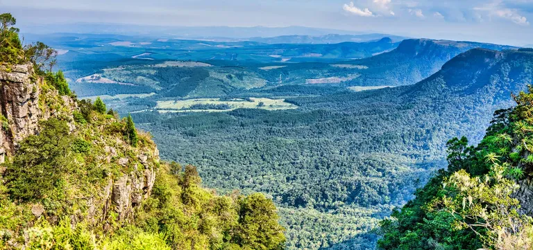 View from God's Window over the forested cliffs and Lowveld far below, Mpumalanga