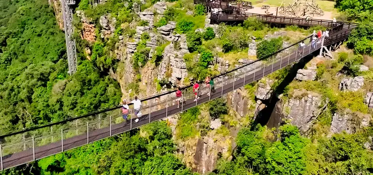 Visitors crossing the suspension bridge over Graskop Gorge, with the viewing lift on the cliff behind, Mpumalanga
