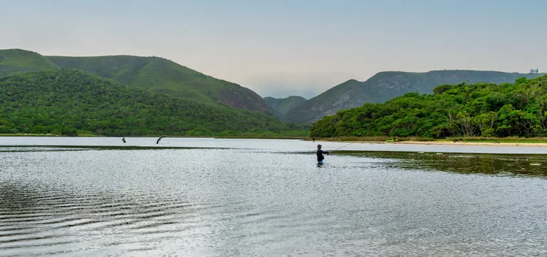 A fly fisherman wading the calm Groot River lagoon at Nature's Valley, ringed by forested hills, South Africa