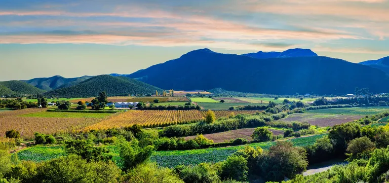 Irrigated orchards and farmland of the Klein Karoo beneath mountain slopes at Oudtshoorn, South Africa