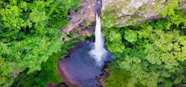 Aerial view of Lone Creek Falls plunging into its circular forest pool near Sabie, Mpumalanga