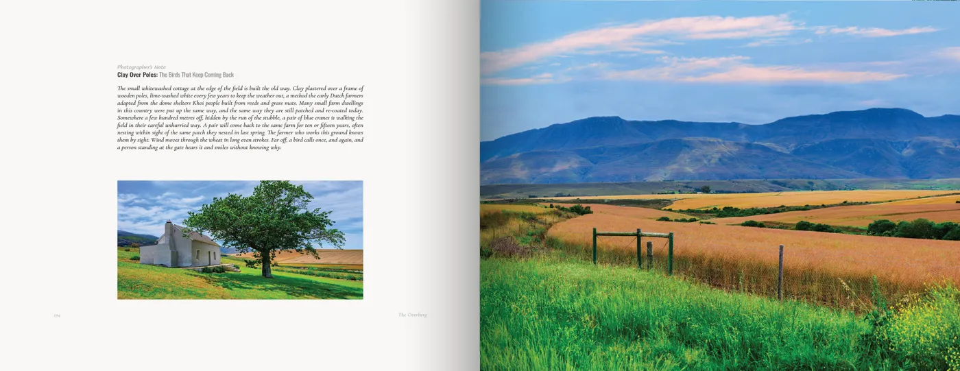The note and a whitewashed cottage under a lone tree face wheat and canola fields below blue mountains