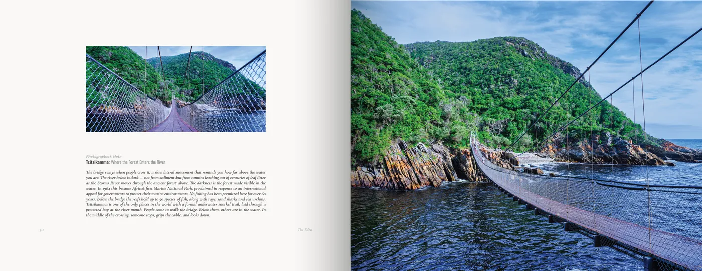 A view along the bridge deck faces the same span curving across a dark river mouth to the sea