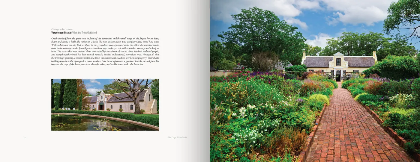 The note and a lily pond beside the homestead face a brick path climbing through dense flower borders