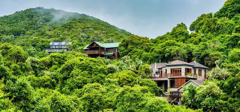 Homes tucked into dense indigenous forest on the misty hills above Wilderness, Garden Route, South Africa